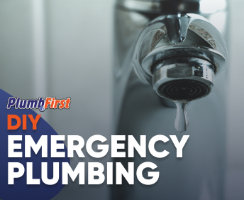 Professional Plumbers