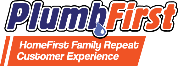 Professional Plumbers