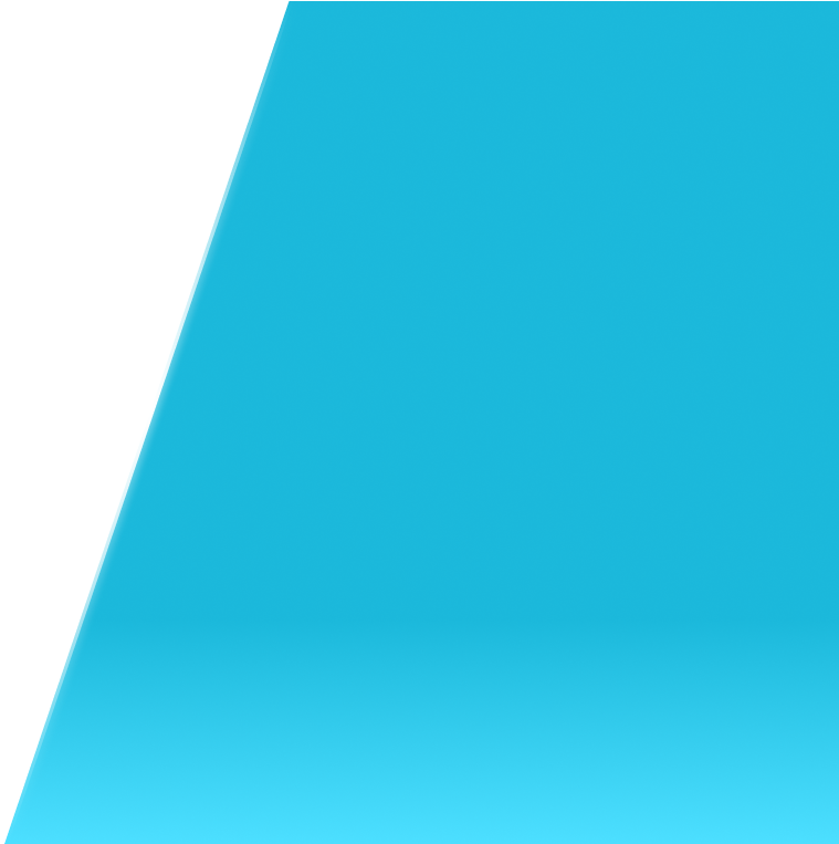 Professional Plumbers