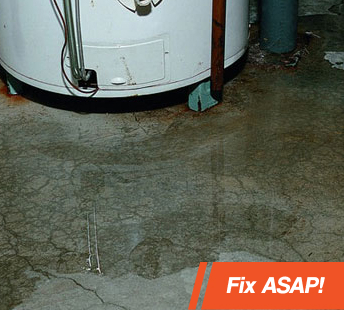 Professional Plumbers